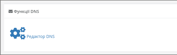 cwpanel_dns_1.png